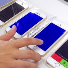 Inspection 01 - 検品