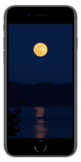 iPhone SE (第 3 世代)